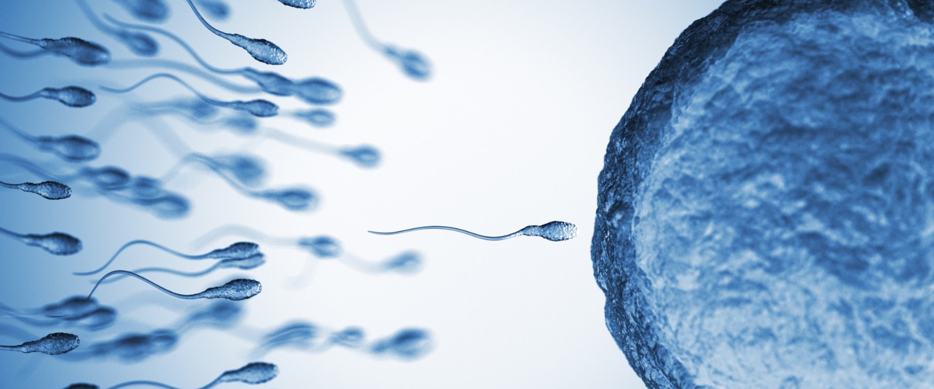 How long does it take to reverse testosterone infertility?