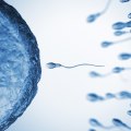 How long does it take to reverse testosterone infertility?